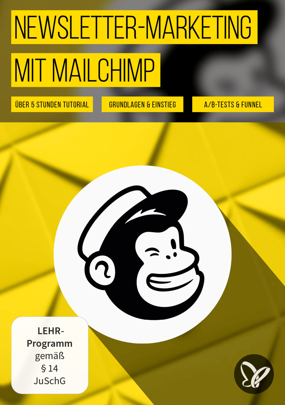 Mailchimp-Tutorial: So managst du dein Newsletter-Marketing