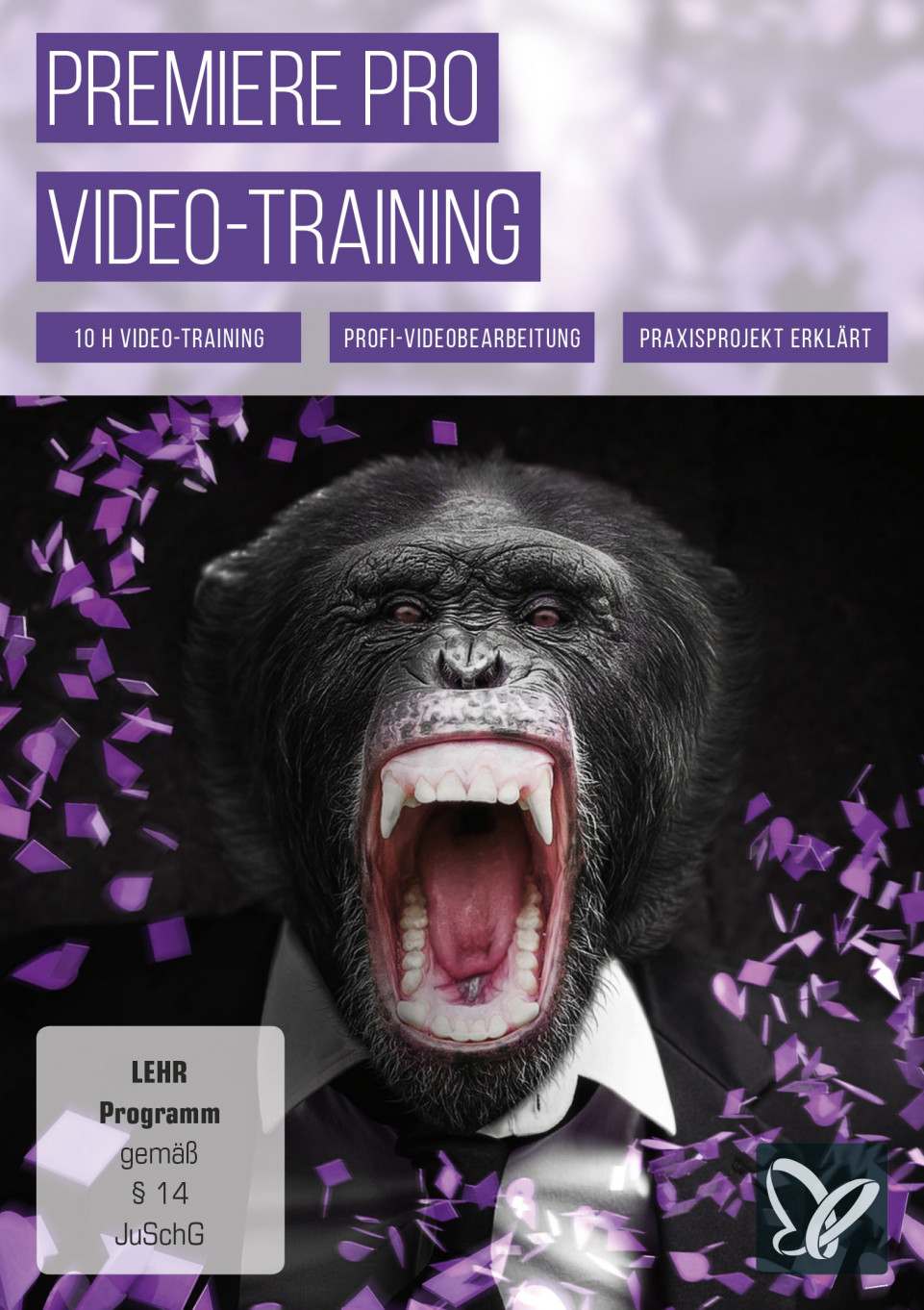 Premiere Pro-Video-Training