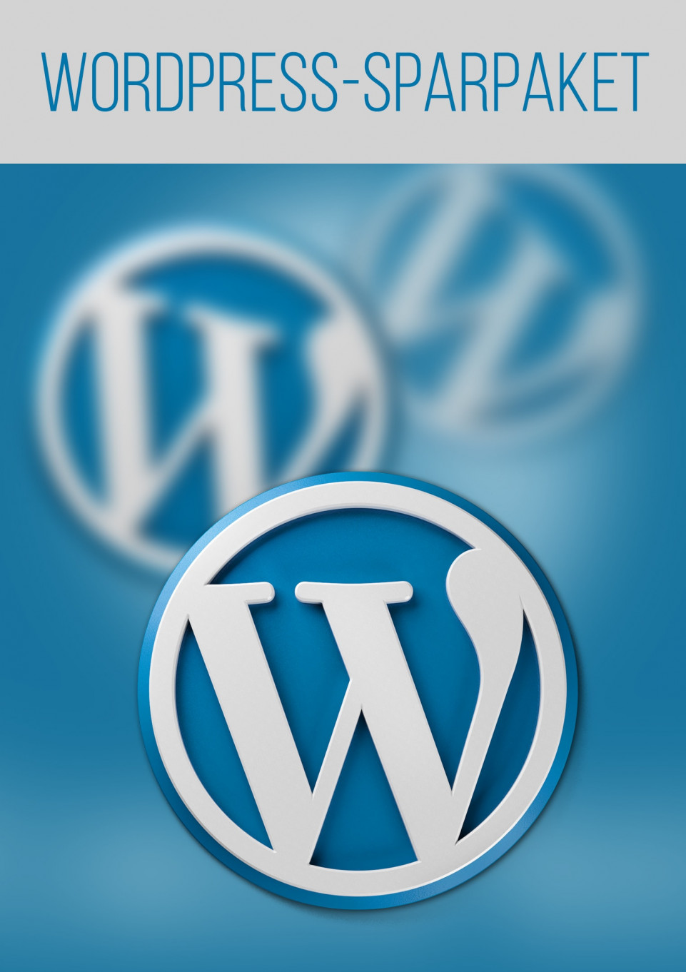 WordPress-Sparpaket Pro