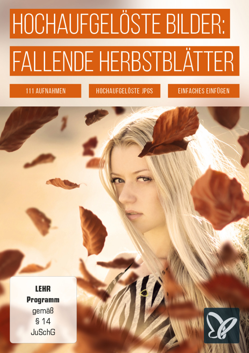 Hochaufgelöste Bilder: fallende Herbstblätter & Herbstlaub