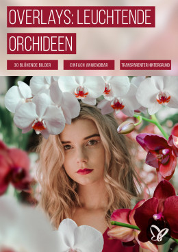 Bilder mit Orchideen vor transparentem Hintergrund