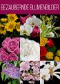 Über 450 Blumenbilder im Sparpaket: freigestellt und direkt anwendbar!