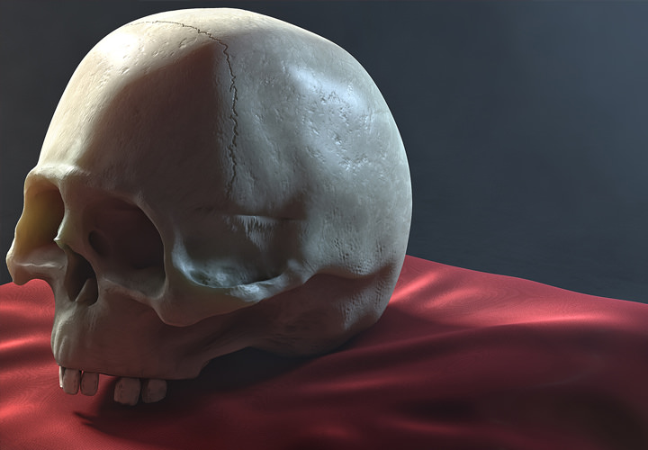 Cinema 4D: 3D Sculpting-Tutorial