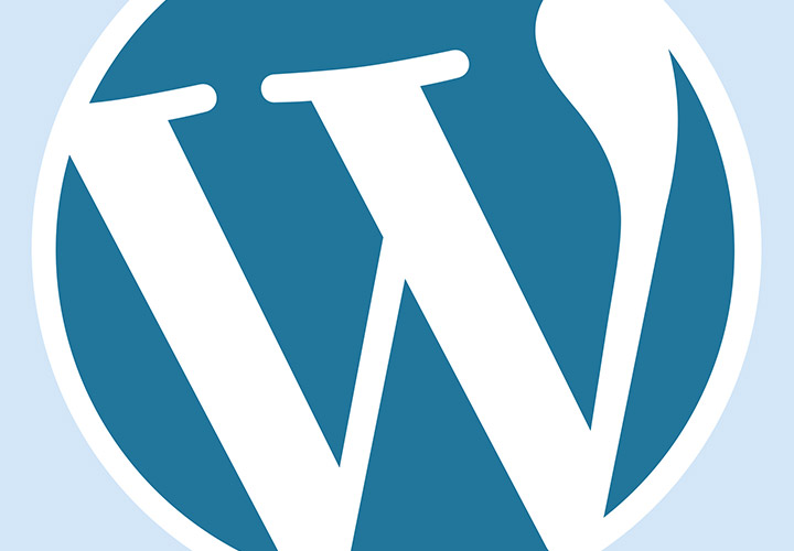 CMS WordPress lernen: How-to für Anfänger und Autoren