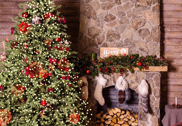 Weihnachtsbaum Fotos Leuchten Lassen 30 Bokeh Effekte