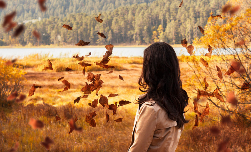 Nachher-Bild von Hochaufgelöste Bilder: fallende Herbstblätter & Herbstlaub