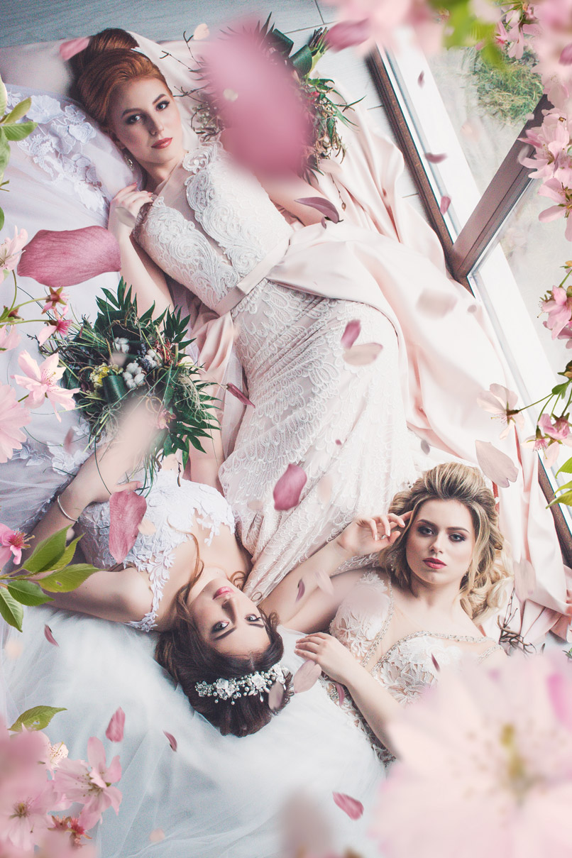 Nachher-Bild von Bilder mit rosa Kirschblüten und lila Flieder vor transparentem Hintergrund
