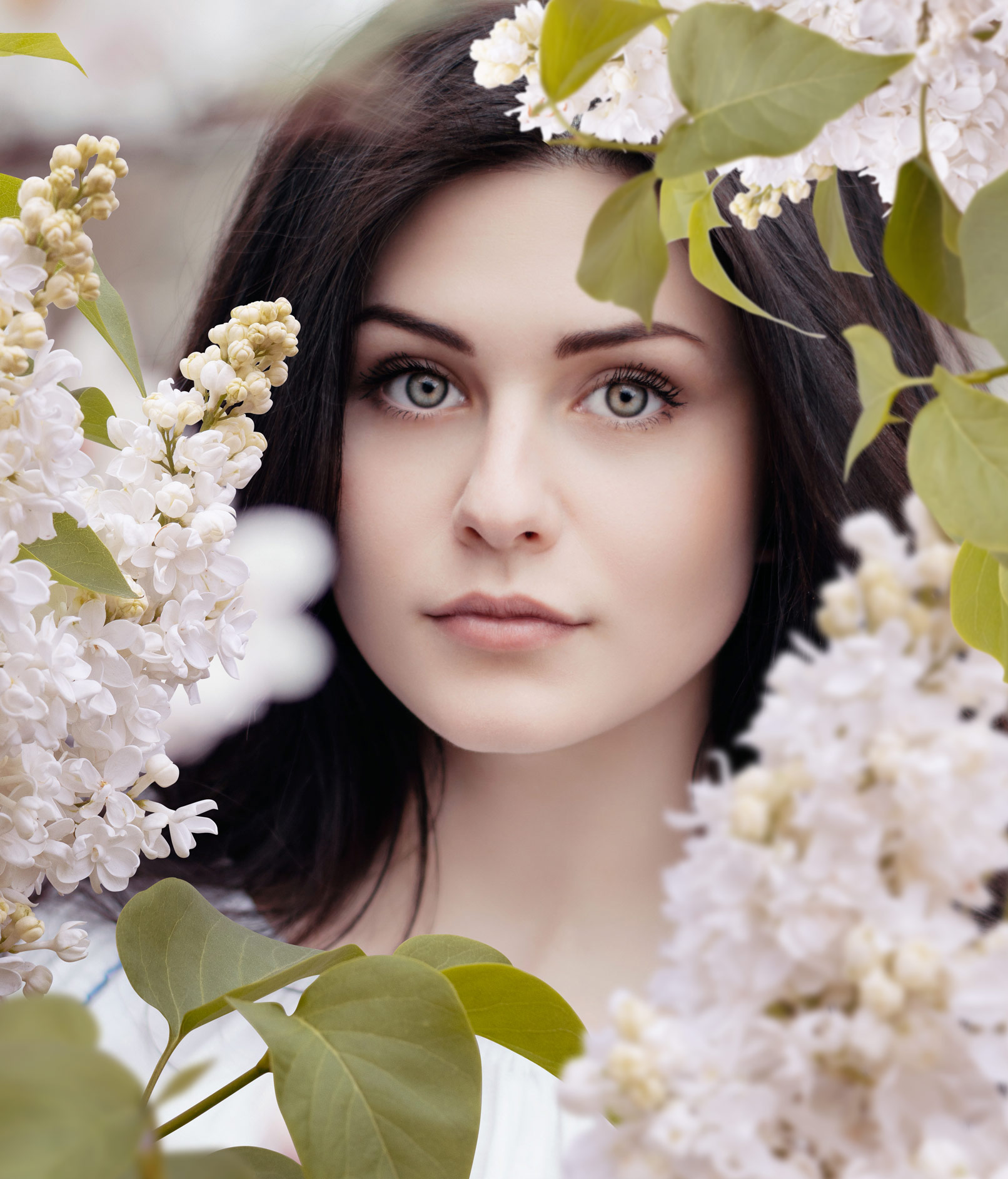 Bilder mit Magnolien, Margeriten und Flieder – weiße Blüten vor transparentem Hintergrund