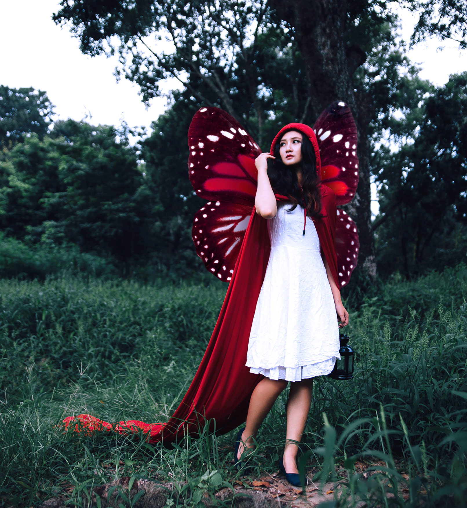 Fantastische Flügel-Bilder: Engel und Schmetterlinge