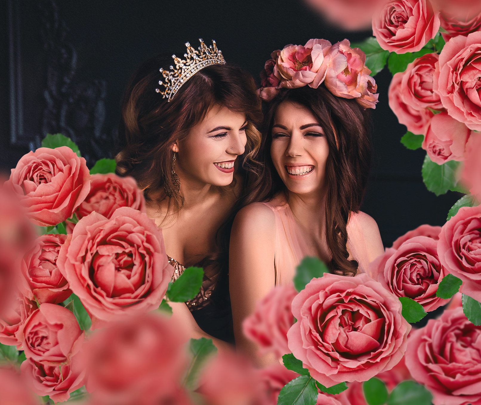 Rosa und lachsfarbene Rosen: 55 Bilder für deine Fotos