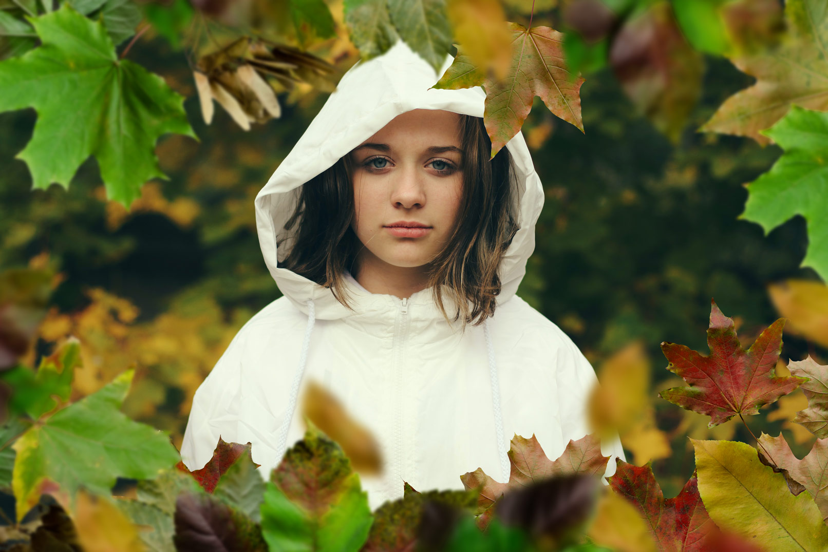 Nachher-Bild von „Die Farbe Herbst“: 80 Fotos und Rahmen mit freigestellten Herbstblättern