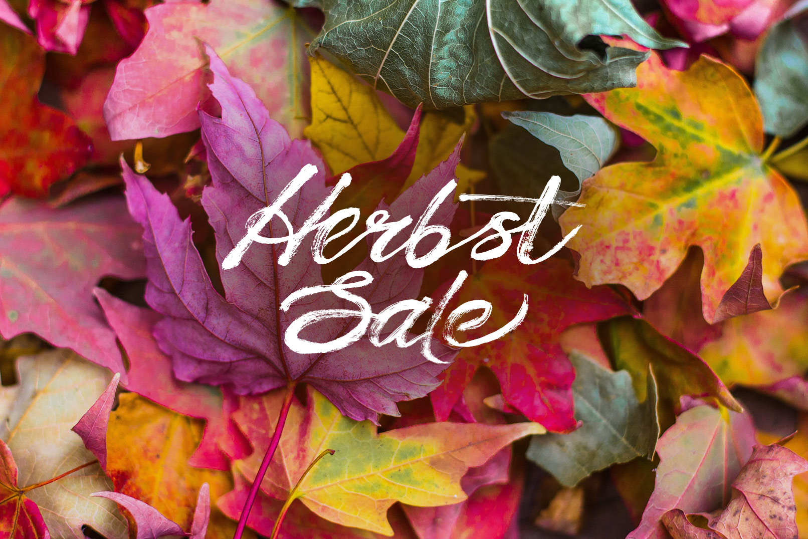 Schriftzug Herbst Sale auf einem Foto mit bunten Laubblättern